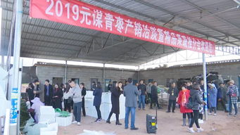 元謀蔬菜種業(yè)博覽會(huì) 拓展交流打造綠色食品牌，文化藝術(shù)交流活動(dòng)增添新活力